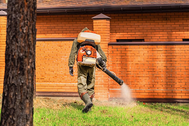Top rated local Wasp Removal specialists in White Horse, NJ